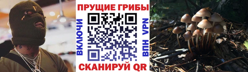 Псилоцибиновые грибы Magic Shrooms  Кемерово 