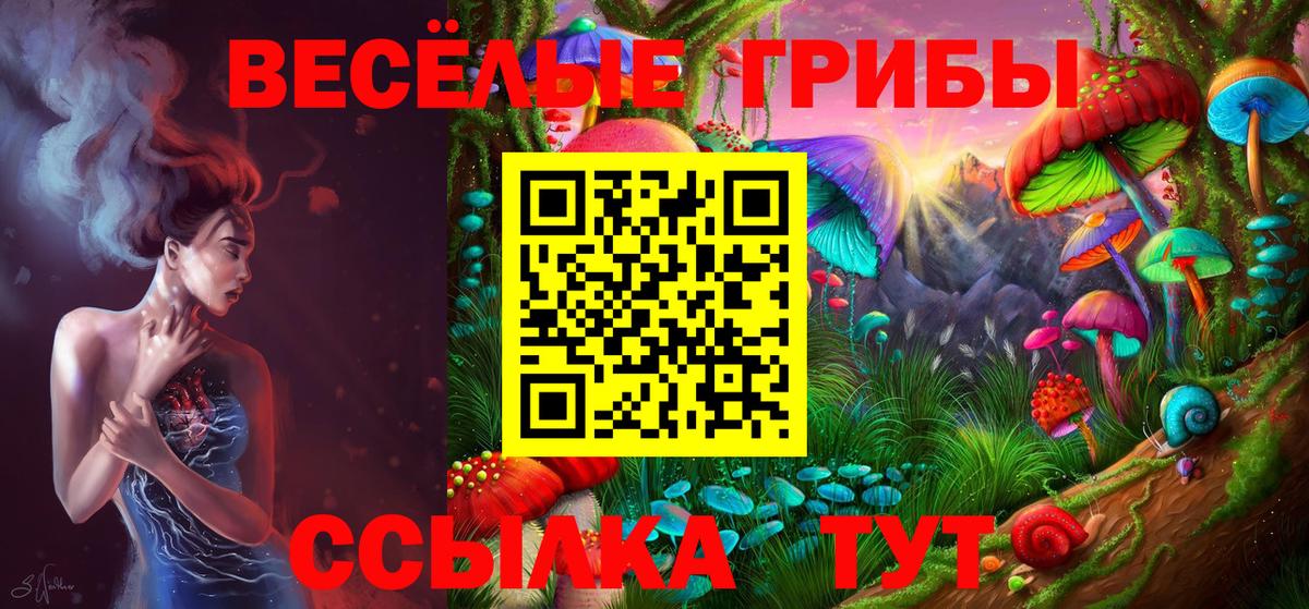 Галлюциногенные грибы GOLDEN TEACHER Кемерово