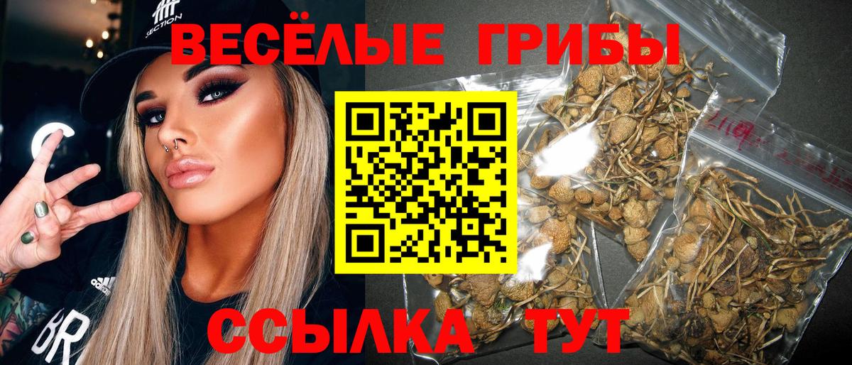 Кемерово  Псилоцибиновые грибы Psilocybine cubensis  Вход с VPN 