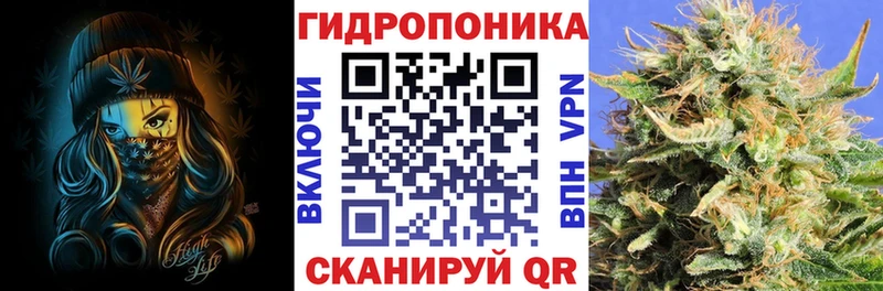 Бошки марихуана White Widow что такое Кемерово